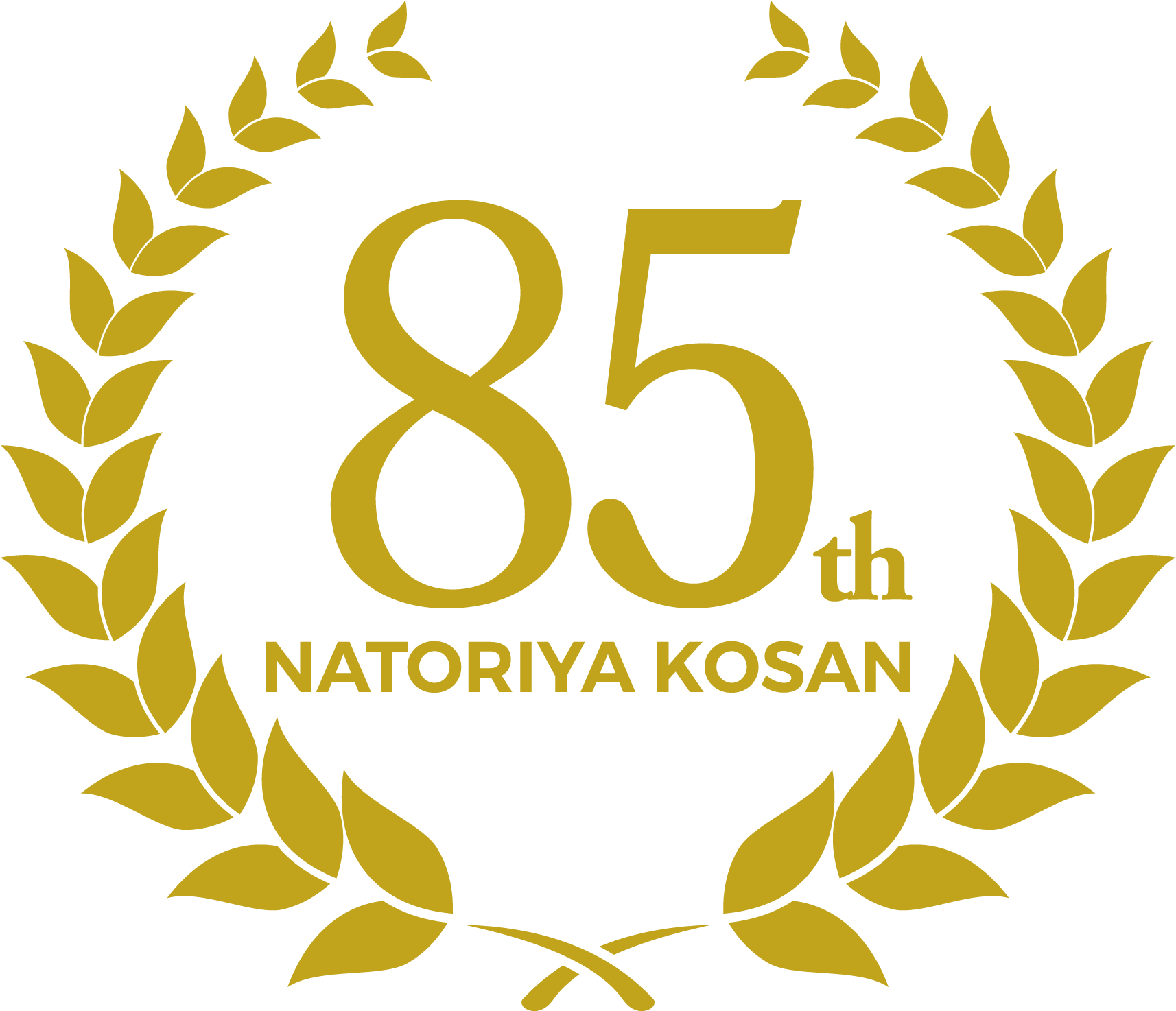 85th logo